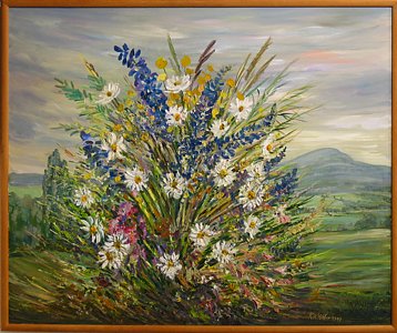 Wiesenblumen an der Lausche Wiesenblumen an der Lausche
